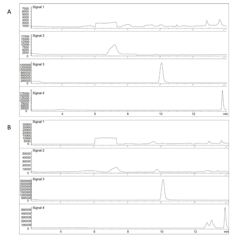 Representative MS chromatogram of the four MSD signals of a reagent blank (A) and a human blank serum (B) with internal standard.