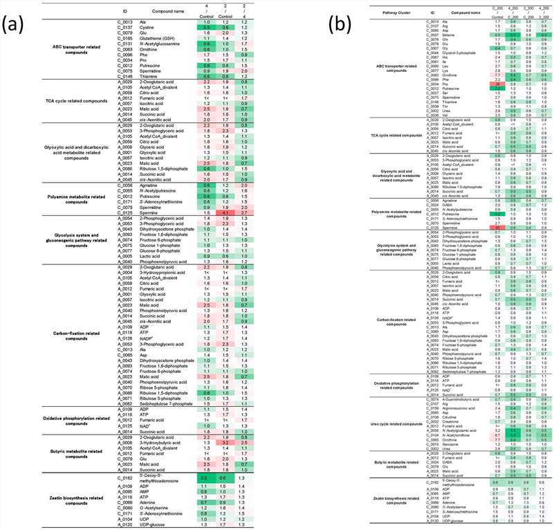 Heatmap of major metabolite groups based on comparative ratio in plants inoculated with strain 4 or strain 2 compared with mock-inoculated plants.