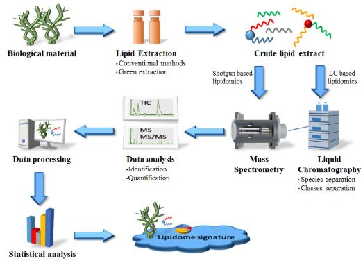 MS-based lipidomics to screen bioactive lipids from marine macrophytes