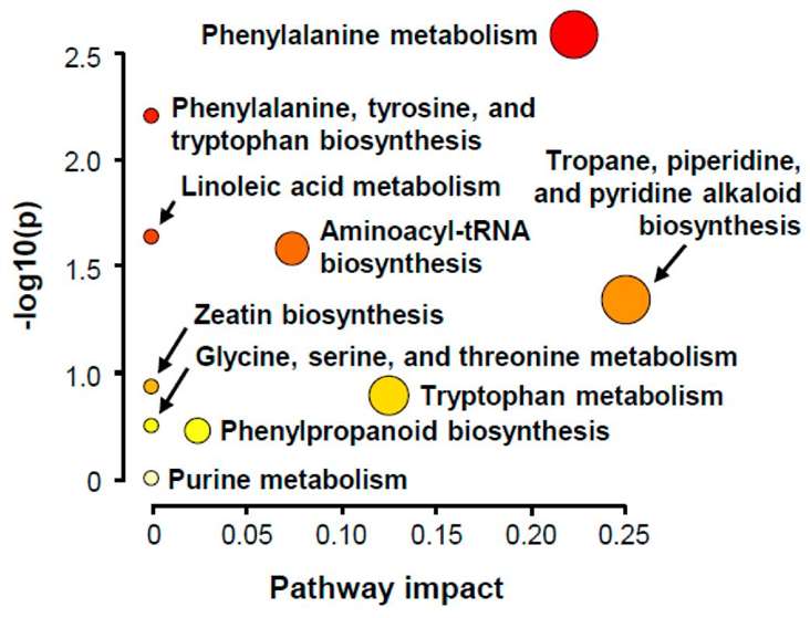 Summary plot of KEGG pathway analysis