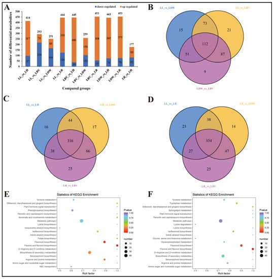 Differentially accumulated metabolites (DAMs) analysis.