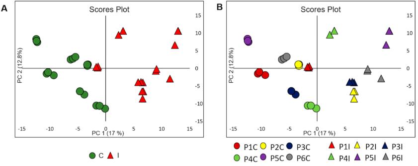 Unsupervised chemometric modeling