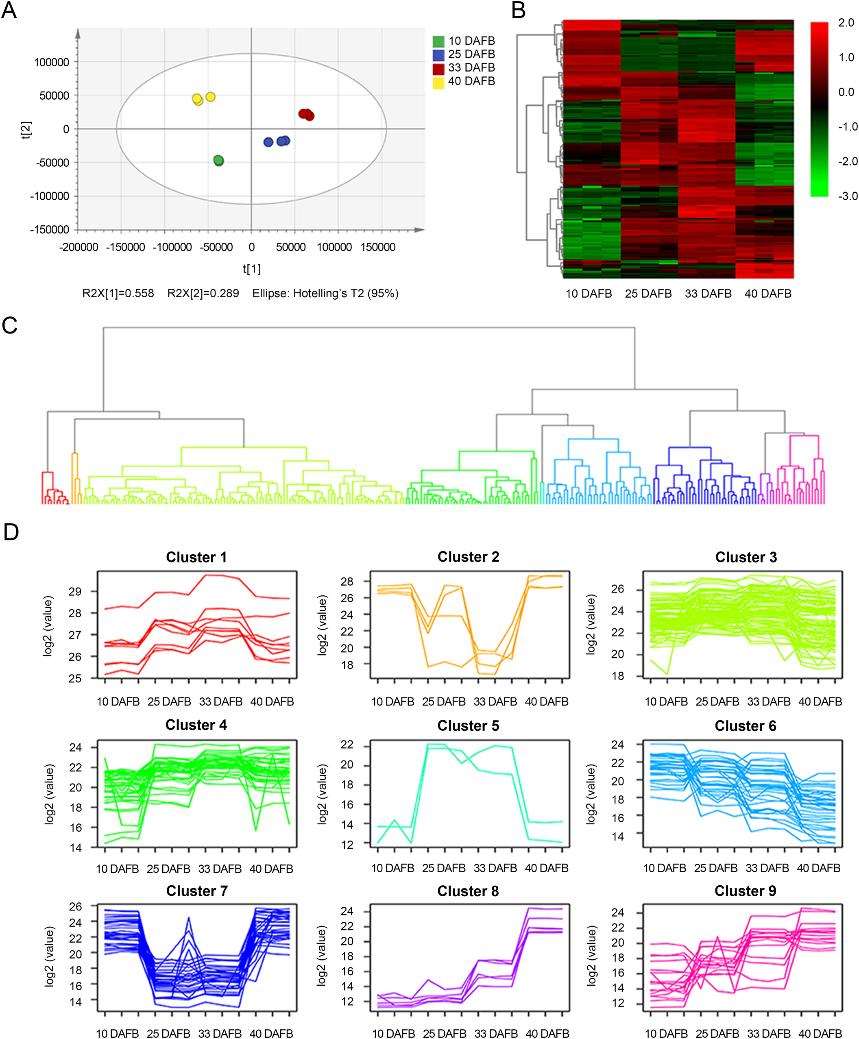 Dynamic metabolome of sweet cherry development and ripening.