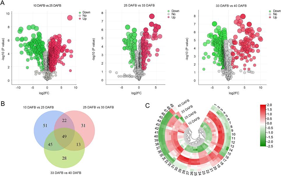 Differentially accumulated metabolites in sweet cherry at different fruit development stages.