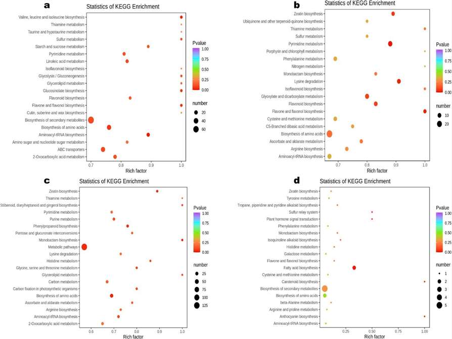 KEGG annotations and enrichment of differentially expressed metabolites