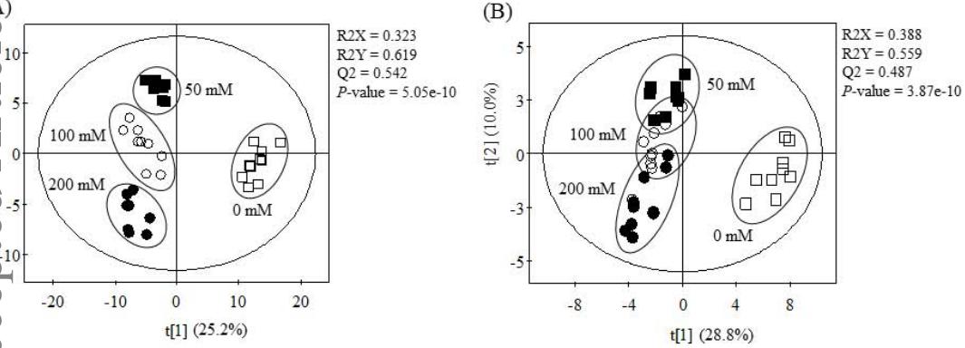 Volcano plot of the Spinacia oleracea nectar metabolome