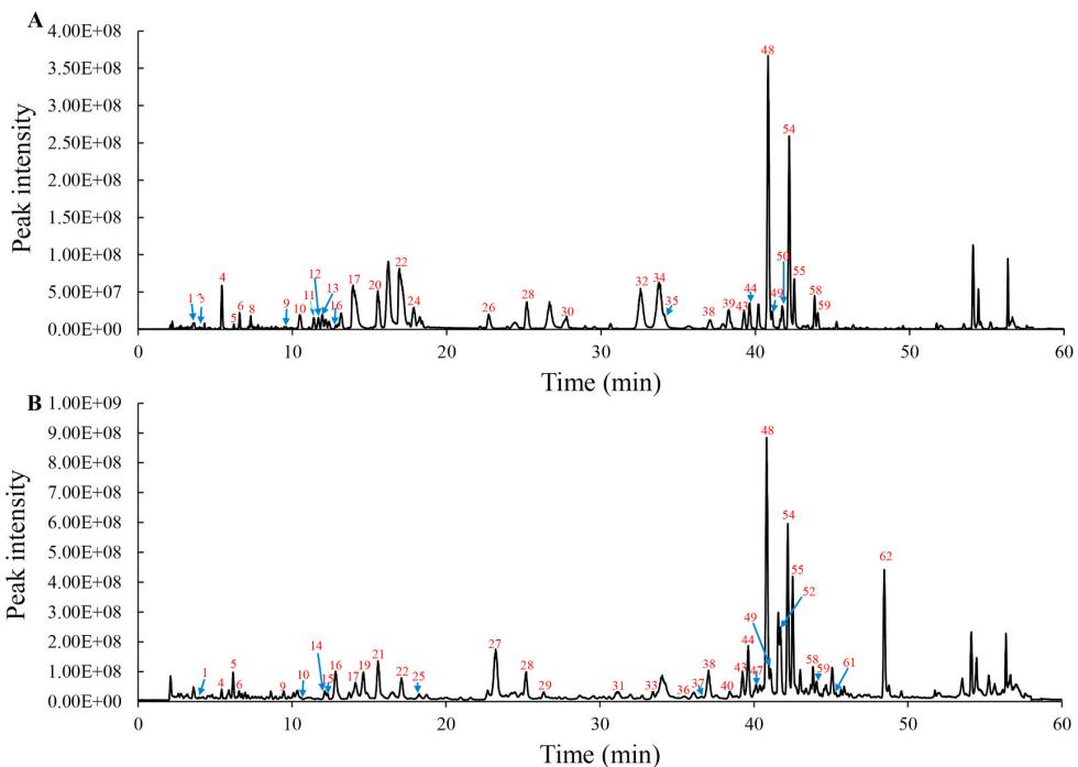 The total ion chromatograms of MSO (A) and USO (B) in the positive ion mode.