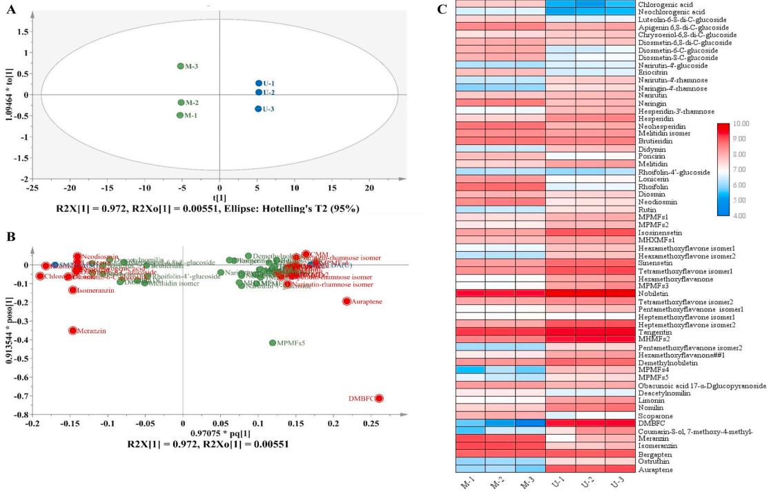 OPLS-DA and heat map of identified phenolics in MSO and USO extracts.