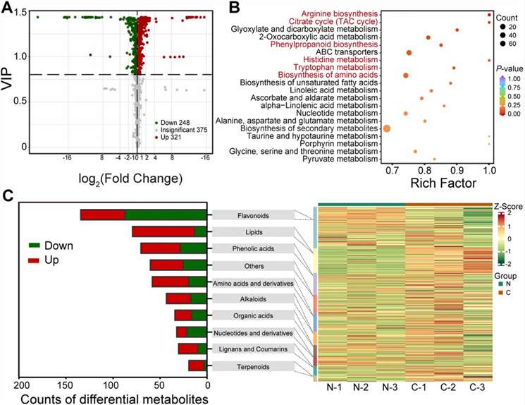 Figure 1 Widely targeted metabolomics profiling in 'Dayagan' pulp