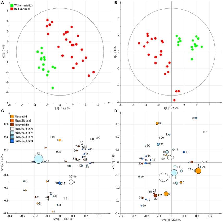 Supervised classification using PLS-DA.