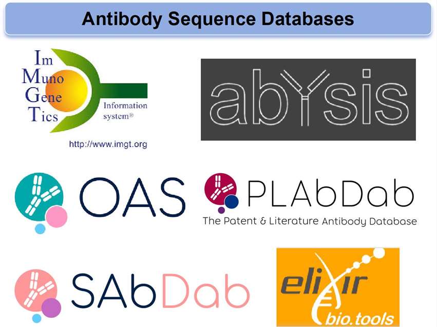 Overview of Antibody Sequence Databases