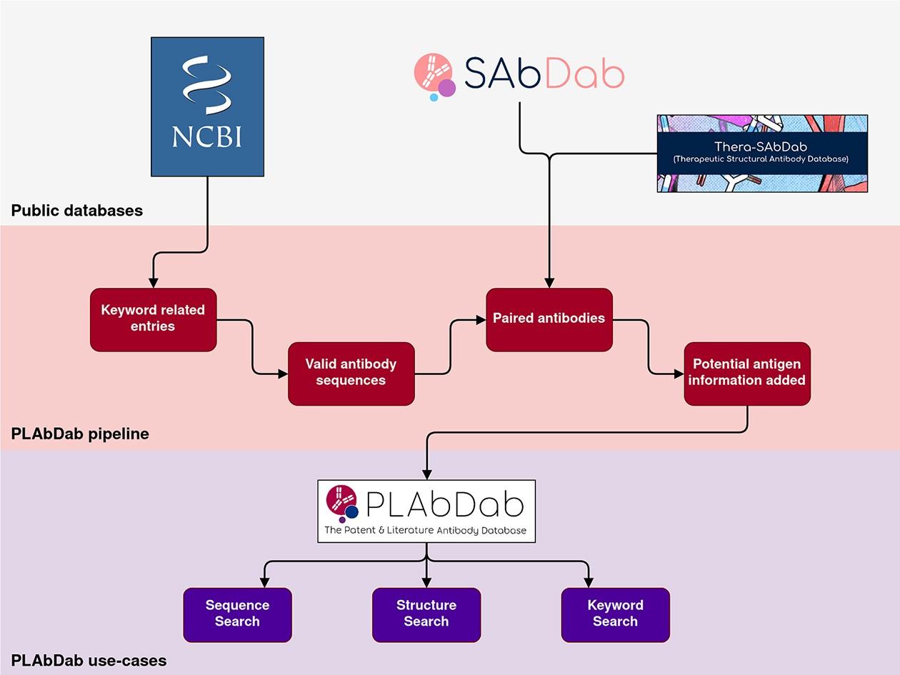 Search Process of PLAbDab