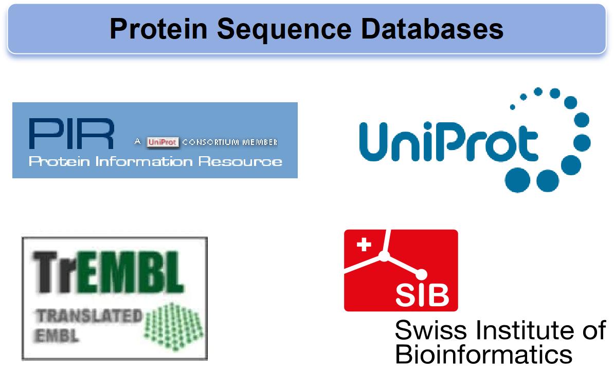 Overview of Protein Sequence Databases