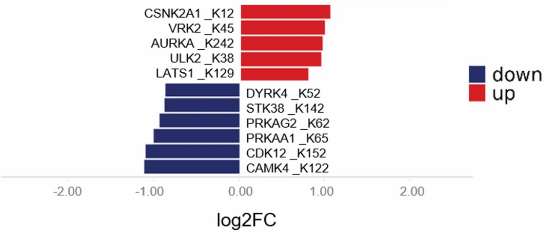 Butterfly diagram showing the regulation of lactylation kinases' activity levels.