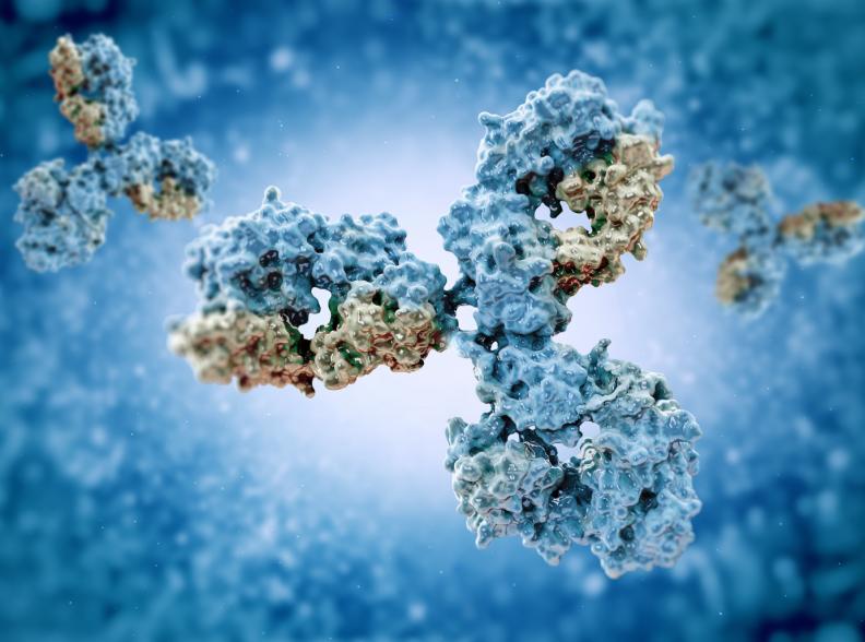 Antibody Specificity Profiling