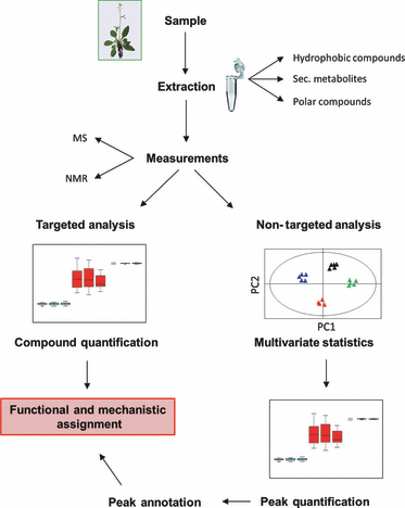 peptide mass fingerprinting protein identification service