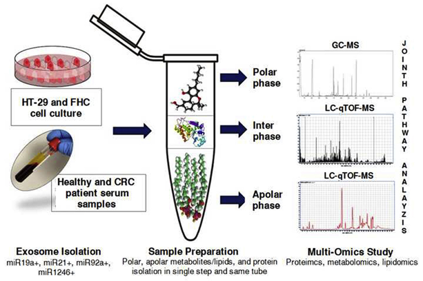 Exosome Analysis Services