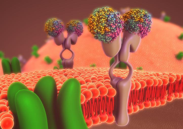 Ligand Discovery for Membrane Proteins