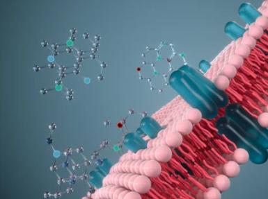 Membrane Protein Production