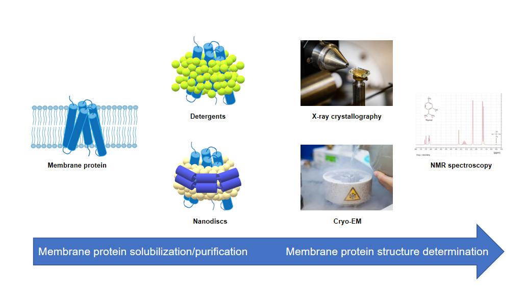 Membrane Protein Structure Determination