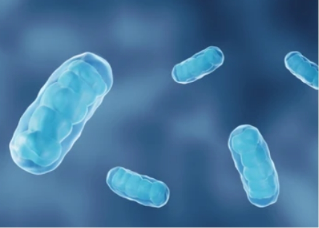 Mitochondrial Protein Posttranslational Modification Analysis