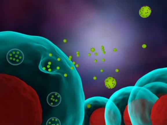 NTA-Based Exosome Identification