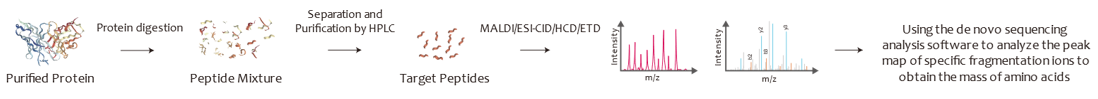 Protein Sequencing Service