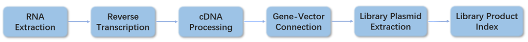 Yeast Two-Hybrid Service