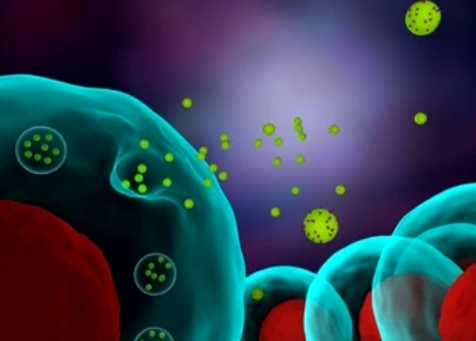 Workflow of differential ultracentrifugation for exosome isolation