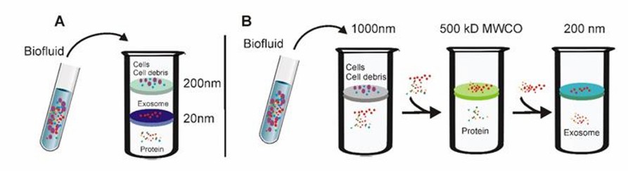 Tandem ultrafiltration and Sequential ultrafiltration