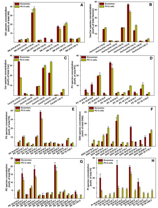 Lipid species composition of PC-3 cells and exosomes