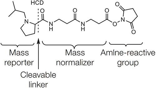 Diagram of the chemical structure of the TMT label