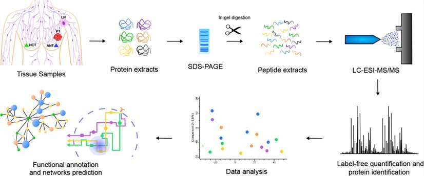 Quantitative label-free mass spectrometry