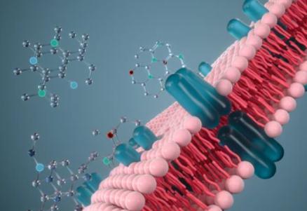 Novel Applications of Membrane Proteomics in Drug Discovery