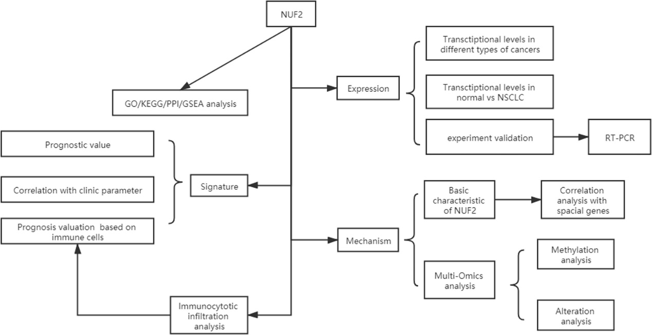 Flow diagram of data collection and method implementation in this work.