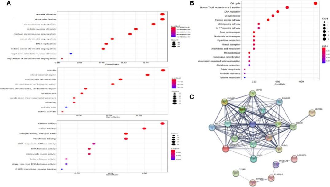 Functional annotation and protein-protein interaction.