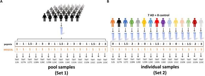 Experimental design to evaluate technical and total variation as well as an optimal normalization approach for our in-solution based TMT protocol.