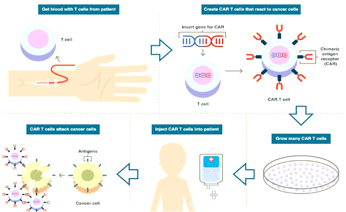 CAR-T Integrated Services