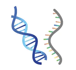 Full Transcriptome Joint Sequencing