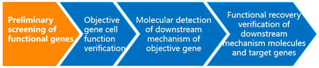 Genecard Two-Cell Solutions