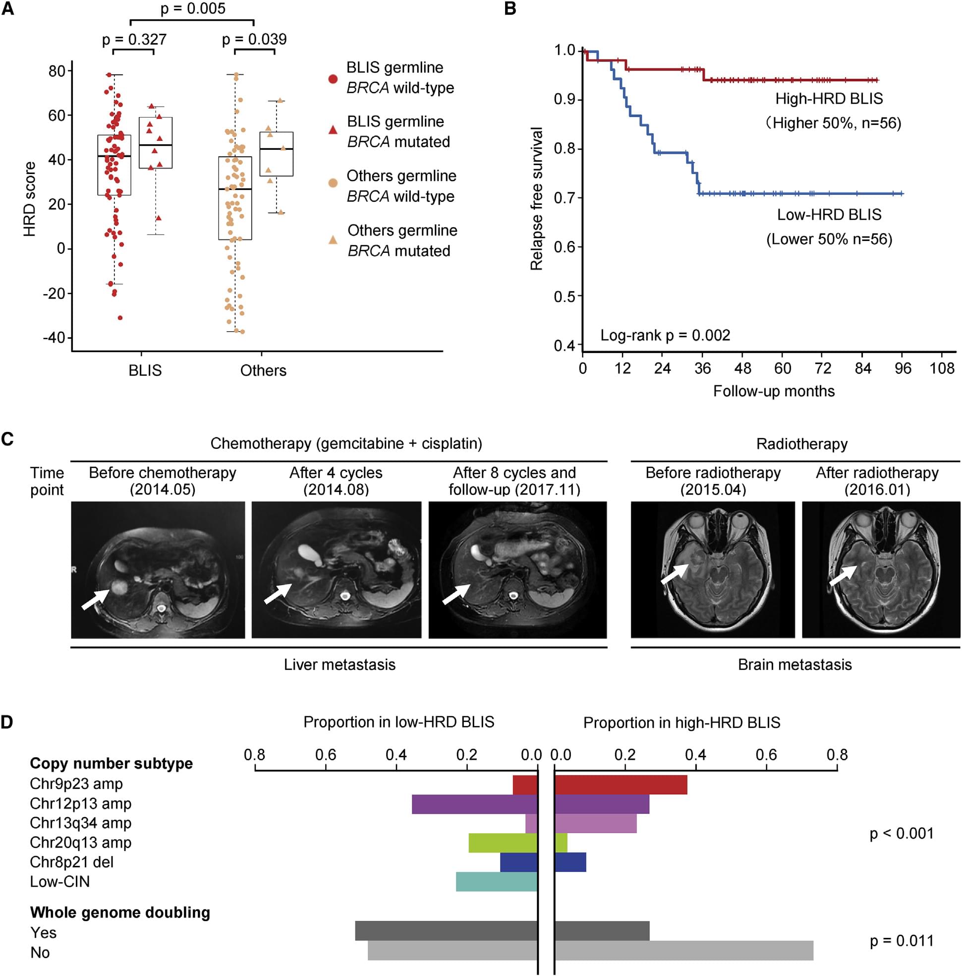 Genomic and Transcriptomic Landscape of Triple-Negative Breast Cancers