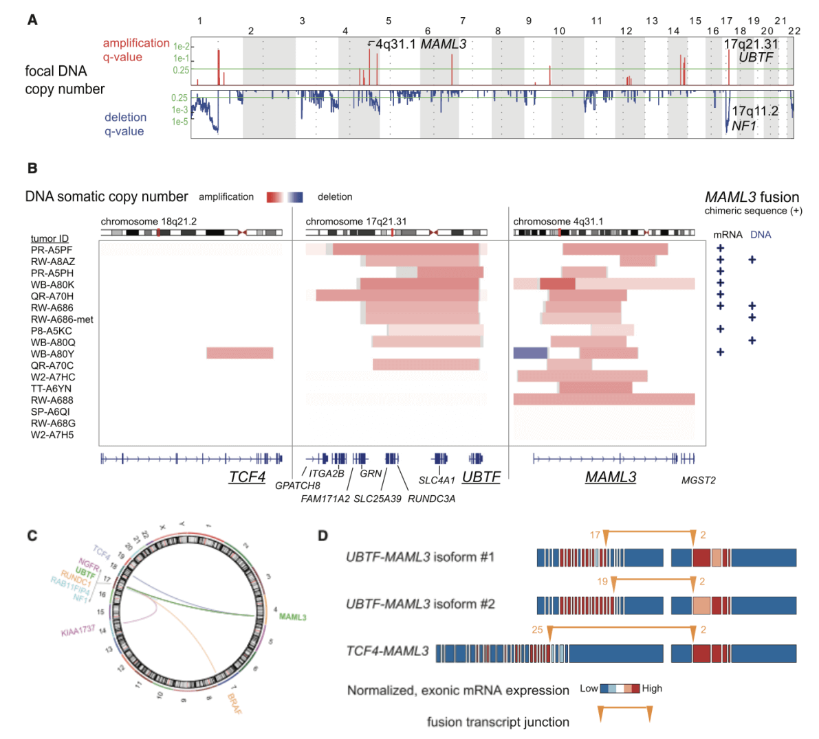 Multi-omics integration reveals molecular characteristics and molecular typing of neuroendocrine tumors