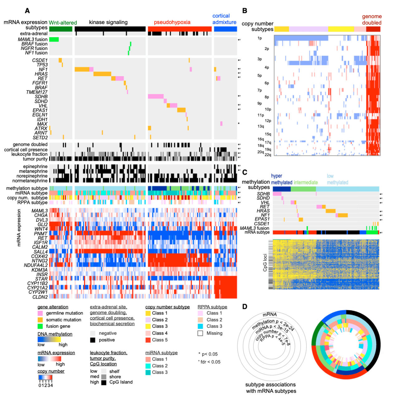 Multi-omics integration reveals molecular characteristics and molecular typing of neuroendocrine tumors