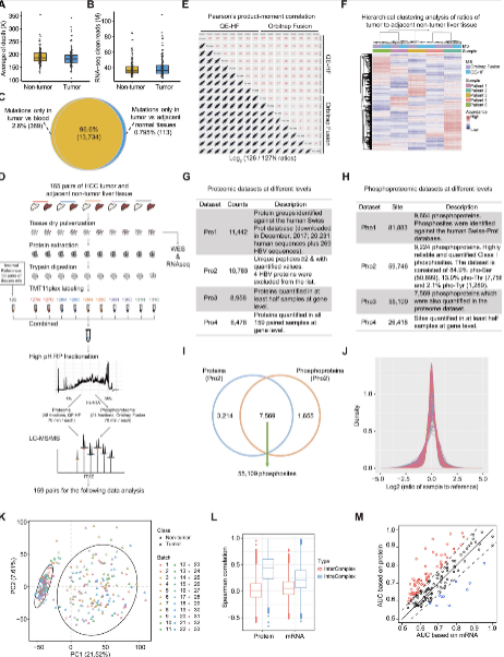 Proteomics studies reveal mechanisms of liver cancer development