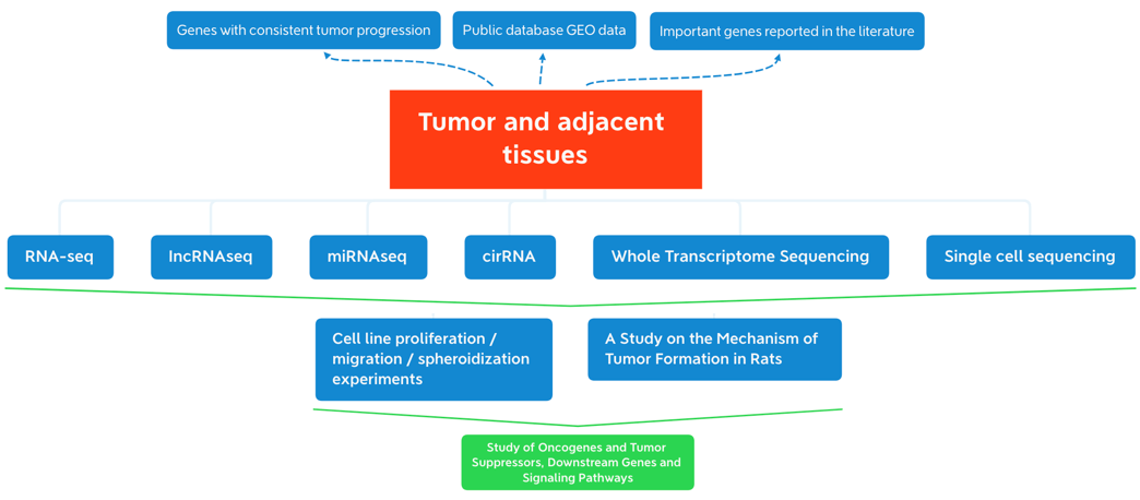 RNA-based Oncogene Research