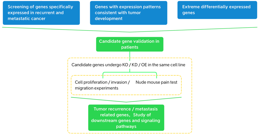 RNA-based Recurrence and Metastasis Researches