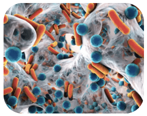 RNA-based Tumor Research