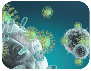 Single Cell Test for Tumor Research