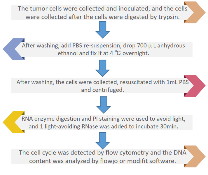 Tumor Target Metabolic Flux Research