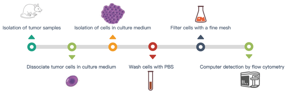 Tumor Microenvironment